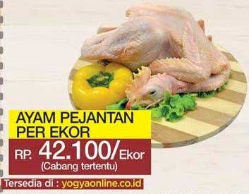 Promo Harga Ayam Pejantan  - Yogya