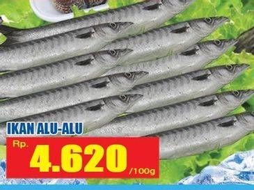 Promo Harga Ikan Alu Alu per 100 gr - Hari Hari