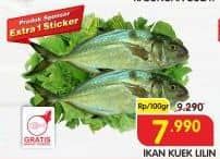 Promo Harga Ikan Kuek Lilin per 100 gr - Superindo