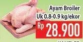 Promo Harga Ayam Broiler 900 gr - Hypermart