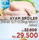 Promo Harga Ayam Broiler  - LotteMart