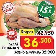 Promo Harga Ayam Pejantan 500 gr - Superindo