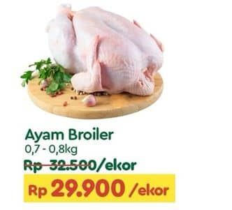 Promo Harga Ayam Broiler 500 gr - TIP TOP