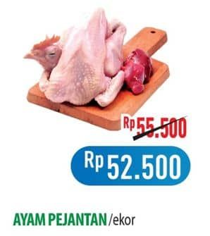 Promo Harga Ayam Pejantan 500 gr - Hypermart