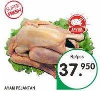 Promo Harga  Ayam Pejantan  - Superindo