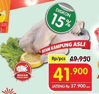 Promo Harga Ayam Kampung 600 gr - Superindo