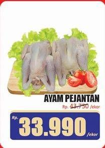 Promo Harga Ayam Pejantan 500 gr - Hari Hari