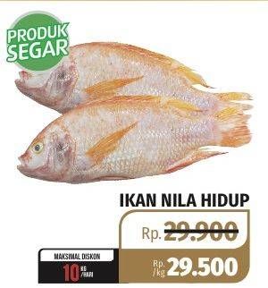 Promo Harga Ikan Nila Hidup  - Lotte Grosir