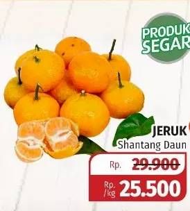 Promo Harga Jeruk Shantang Daun per 1000 gr - Lotte Grosir