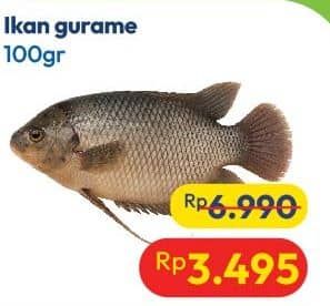 Promo Harga Ikan Gurame per 100 gr - Hypermart