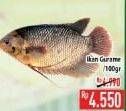 Promo Harga Ikan Gurame per 100 gr - Hypermart