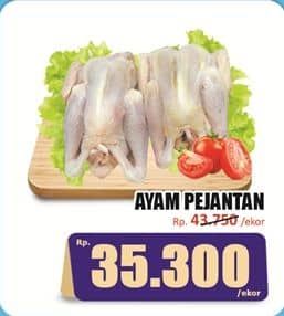 Promo Harga Ayam Pejantan 500 gr - Hari Hari