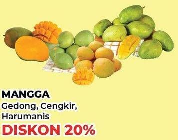 Promo Harga Mangga Gedong/Cengkir/Harum Manis  - Yogya