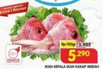 Promo Harga Kepala Ikan Kakap Merah per 100 gr - Superindo