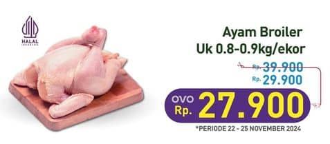 Promo Harga Ayam Broiler 800 gr - Hypermart