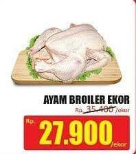 Promo Harga Ayam Broiler  - Hari Hari