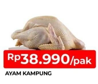 Promo Harga Ayam Kampung 700 gr - TIP TOP