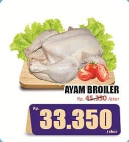 Promo Harga Ayam Broiler 500 gr - Hari Hari