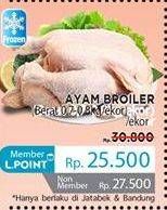 Promo Harga Ayam Broiler  - LotteMart