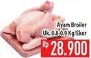 Promo Harga Ayam Broiler  - Hypermart