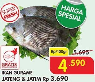 Promo Harga Ikan Gurame per 100 gr - Superindo