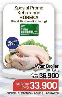 Promo Harga Ayam Broiler 800 gr - Lotte Grosir