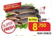 Promo Harga Ikan Gabus per 100 gr - Superindo