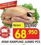 Promo Harga Ayam Kampung Jumbo  - Superindo