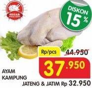 Promo Harga Ayam Kampung  - Superindo