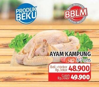 Promo Harga Ayam Kampung  - Lotte Grosir