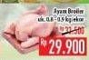 Promo Harga Ayam Broiler  - Hypermart