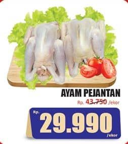 Ayam Pejantan