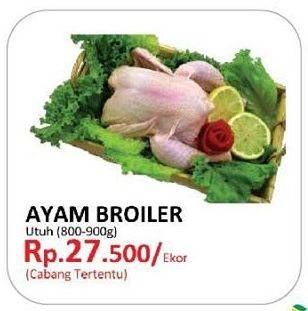 Promo Harga Ayam Broiler  - Yogya