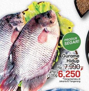 Promo Harga Ikan Gurame Hidup per 100 gr - LotteMart