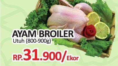 Promo Harga Ayam Broiler 800 gr - Yogya