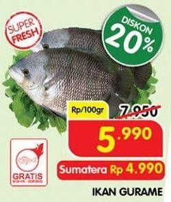 Promo Harga Ikan Gurame per 100 gr - Superindo