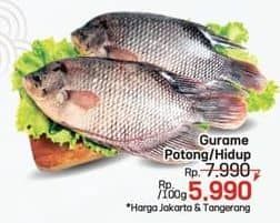 Promo Harga Ikan Gurame Hidup per 100 gr - LotteMart