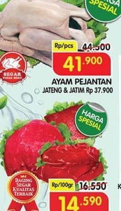 Promo Harga Ayam Pejantan 1 pcs - Superindo