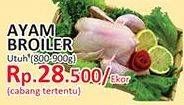 Promo Harga Ayam Broiler  - Yogya