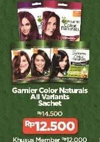 Promo Harga GARNIER Hair Color All Variants 40 ml - Alfamart