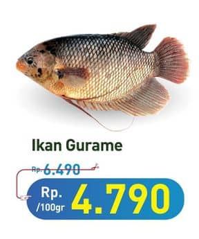 Promo Harga Ikan Gurame per 100 gr - Hypermart