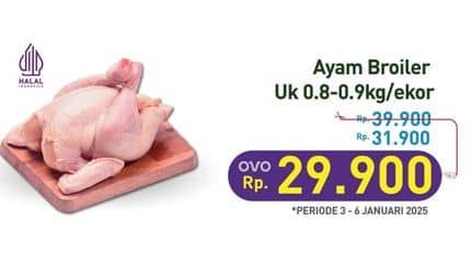 Promo Harga Ayam Broiler 800 gr - Hypermart