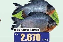 Promo Harga Ikan Bawal Tawar per 100 gr - Hari Hari