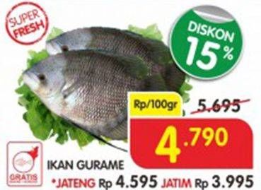 Promo Harga Ikan Gurame per 100 gr - Superindo