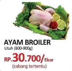 Promo Harga Ayam Broiler  - Yogya