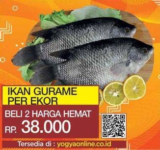 Promo Harga Ikan Gurame per 2 pcs - Yogya