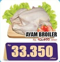 Promo Harga Ayam Broiler 500 gr - Hari Hari