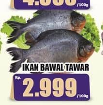 Promo Harga Ikan Bawal Tawar per 100 gr - Hari Hari