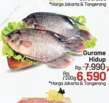 Promo Harga Ikan Gurame per 100 gr - LotteMart