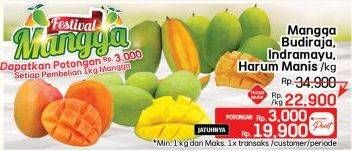 Promo Harga Mangga Budiraja/Indramayu/Harum Manis  - LotteMart